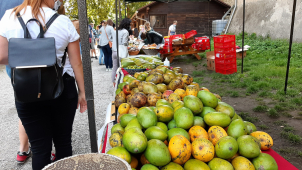 Kam o víkendu? Na Africké trhy, hrad i koncert v Dómu