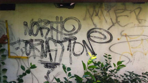 Neznámý sprejer předvedl své umění na domě v Zábřehu