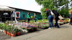 Letní Flora: Do Áčka jen 500 lidí najednou a s rouškami