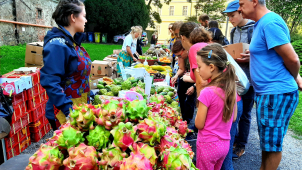 FOTO: Vůně Afriky se linou areálem olomouckého letňáku