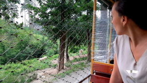 Olomoucká zoologická zahrada zavírá na neurčito