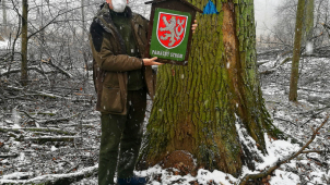 Primátor Žbánek: Památné stromy budeme chránit pro další generace