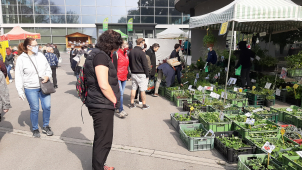Výstaviště Flora chystá Selské a Zahradnické trhy