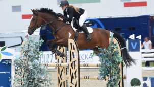 V Olomouci bude plno, představí se téměř čtyř sta koní