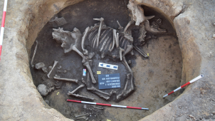 Archeologové ukončili výkopy na plánované stavbě D1. Co našli?