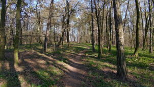 V rezervaci Království vše v souladu s ochranou přírody