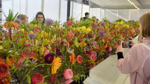 Na Floru dorazilo bezmála 50 tisíc návštěvníků