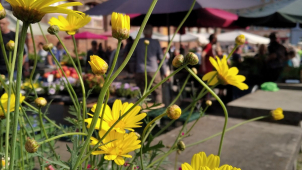 Výstaviště Flora zvelebuje olomouckou tržnici