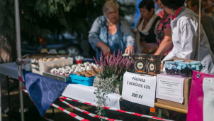 Borůvkové hody pod Pradědem již o víkendu