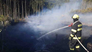 Hejtman zakázal pálení ohňů v přírodě, hrozí lesní požáry