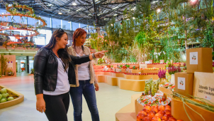 Flora Olomouc oslaví jubilejní 30. ročník podzimní výstavy