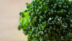 Recept na brokolicovou polévku, která je výborná