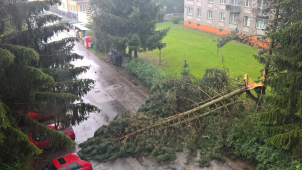 Pozor na parkování pod stromy, varují po bouři odborníci
