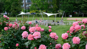 Flora připravuje komentované prohlídky palmového skleníku