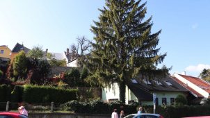 Přerov chce během Vánoc nabídnout více místa domácím produktům