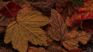 Rtuť teploměru během neděle v kraji vyšplhá i k šestnáctce