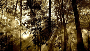 Sobotní teploty v kraji budou stále spíše nad nulou