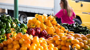 Otevírají autobazary, farmářské trhy, částečně i univerzity