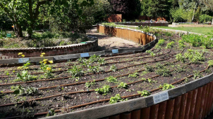 Botanickou zahradu v Olomouci někdo vykradl