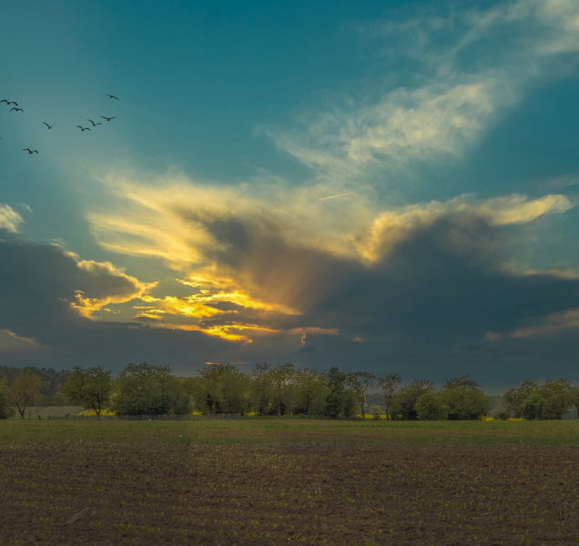 Oblačná neděle přinese vysoké teploty i déšť