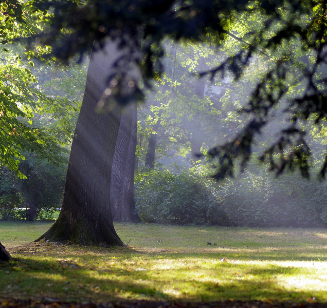 Neděle v kraji bude polojasná a studená