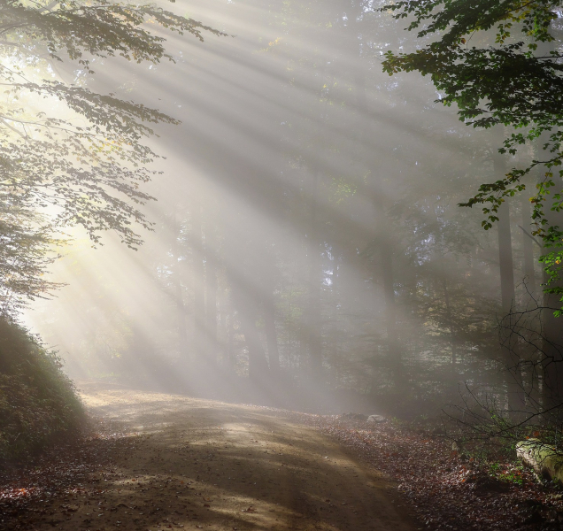 Teploty v kraji se přiblíží dvacítce