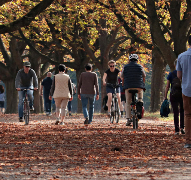 Olomouc se zúčastní kampaní Deset tisíc kroků a Do práce na kole
