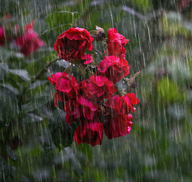 Výhled počasí na příští dny: Může se objevit déšť i sníh