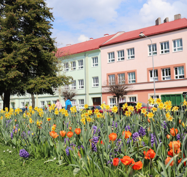 Ulice Přerova zdobí květinová výsadba