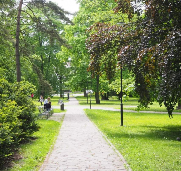 Za sex v olomouckém parku hrozí opilé dvojici vězení