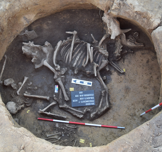 Archeologové ukončili výkopy na plánované stavbě D1. Co našli?