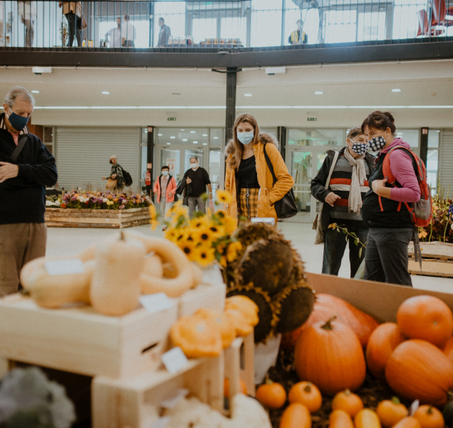 Podzimní Flora Olomouc se odehraje v říši ovoce a zeleniny