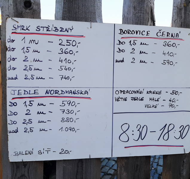 Zloděj ukradl stovku vánočních stromečků z Dolního náměstí