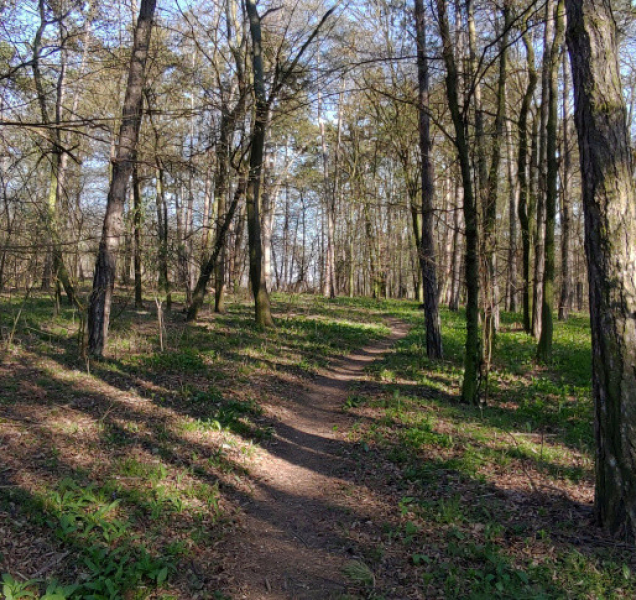 V rezervaci Království vše v souladu s ochranou přírody