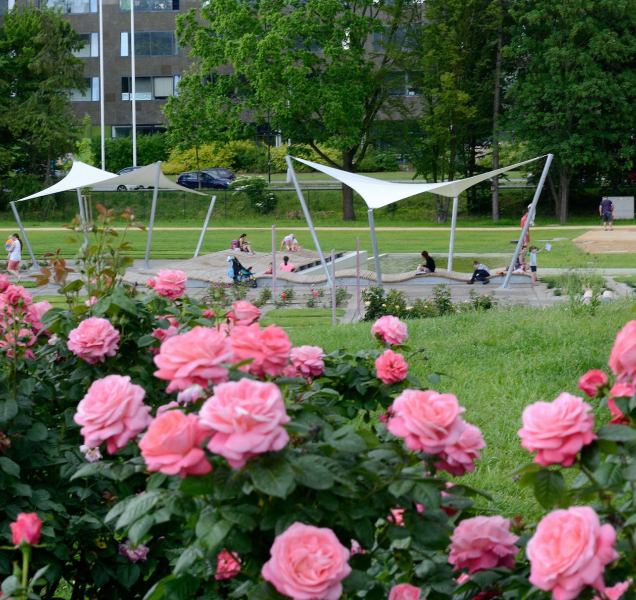 Olomoucký kraj turisty láká. Skokanem roku je botanická zahrada