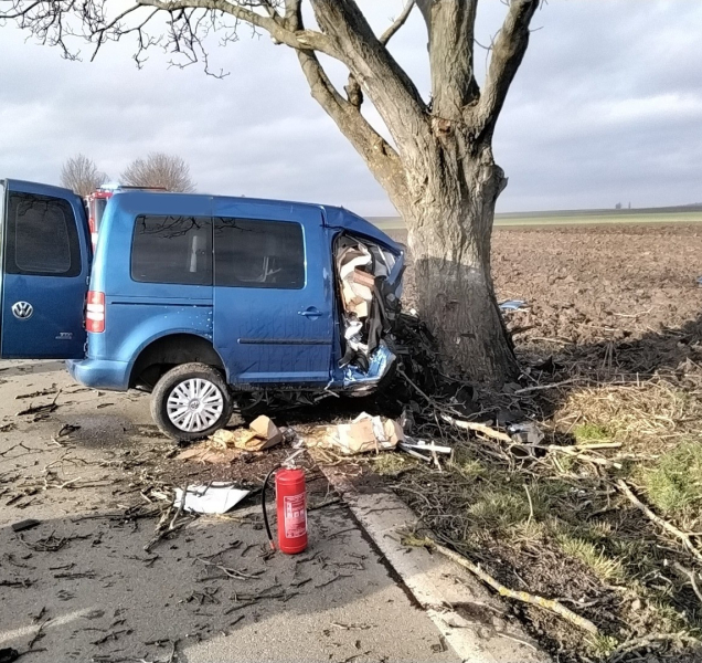 Vyjel ze silnice a a narazil do stromu. Řidič na místě zemřel