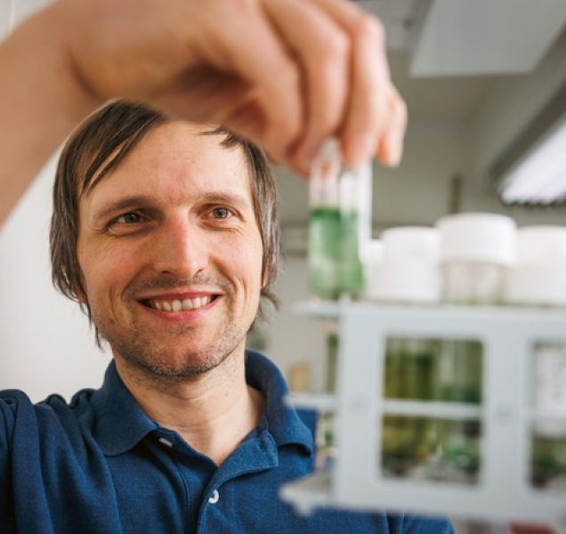 Šli kolem kaluže na ulici a objevili nové druhy sinic