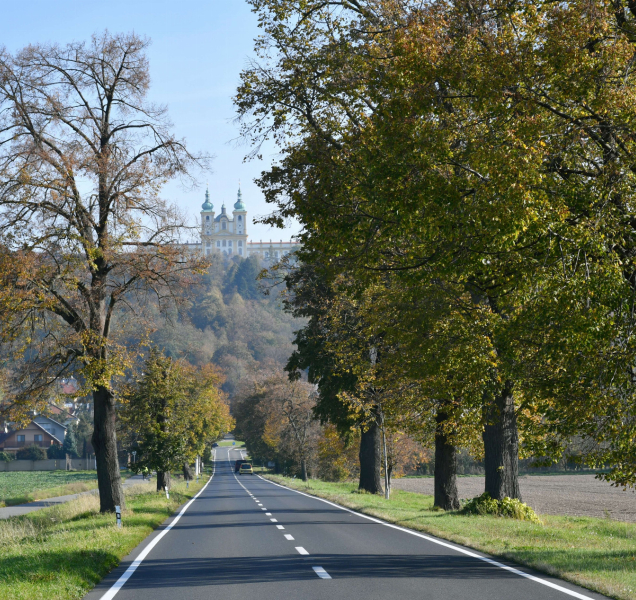 Poutní cesta na Svatý Kopeček soutěží o titul Alej roku 2024