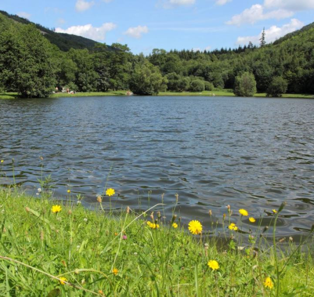 Koupaliště: Výkleky za vstupné, „Karibik Hané“ autem nedostupný