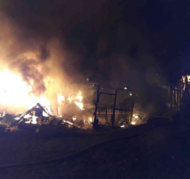 Policisté vyčíslili škodu na 100 tisíc