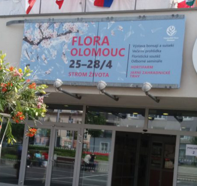 Drsná ČOIka: Polovina prodejců na Floře porušila zákon