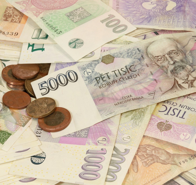 Kraj slíbil milióny na paliativní péči