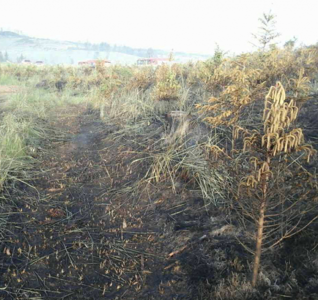 Ve Vojenském prostoru Libavá od včerejší noci hoří