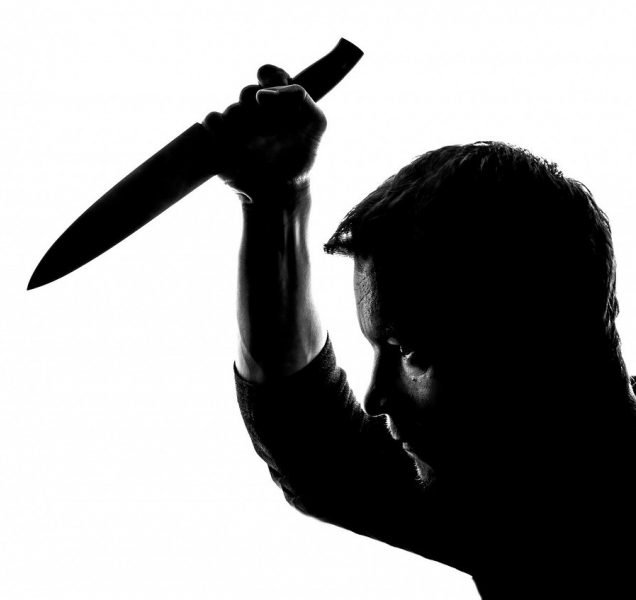 Na Šumpersku napadl syn matku sekerou, chtěl ji zabít