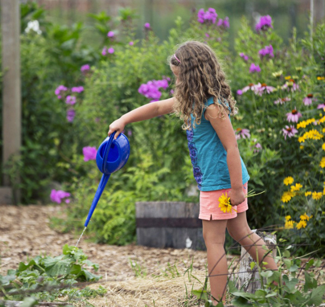 Zahrádkáři slaví první vítězství: Jedná s nimi Povodí