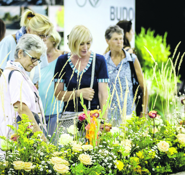 Co přinese letošní letní Flora? Léčivou sílu semen