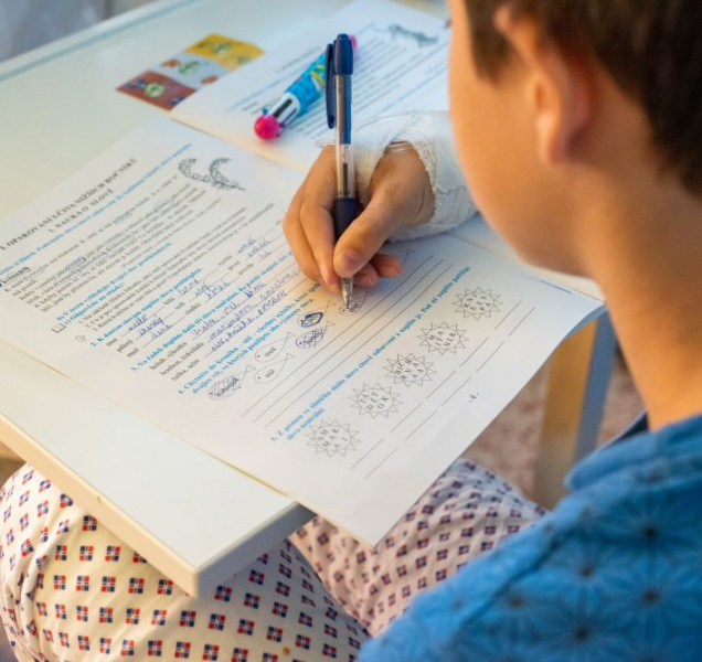 V olomoucké fakultce funguje škola pro nemocné děti