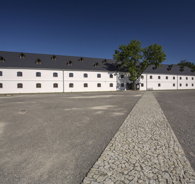 Pevnost poznání navštíví hadi a obojživelníci