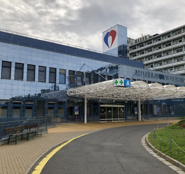 V kraji je 241 potvrzených případů nákazy, čísla nadále rostou