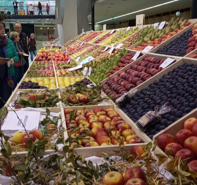 Na Floře se budou konat Selské trhy